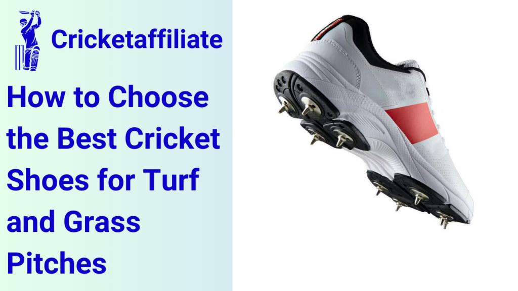 How to Choose the Best Cricket Shoes for Turf and Grass Pitches