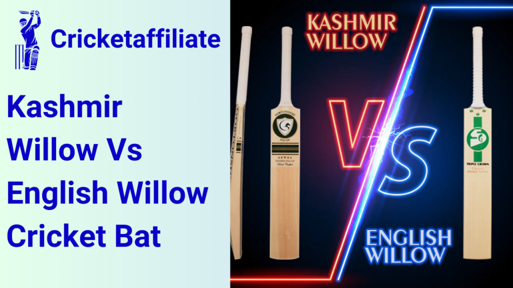 Kashmir Willow Vs English Willow Cricket Bat