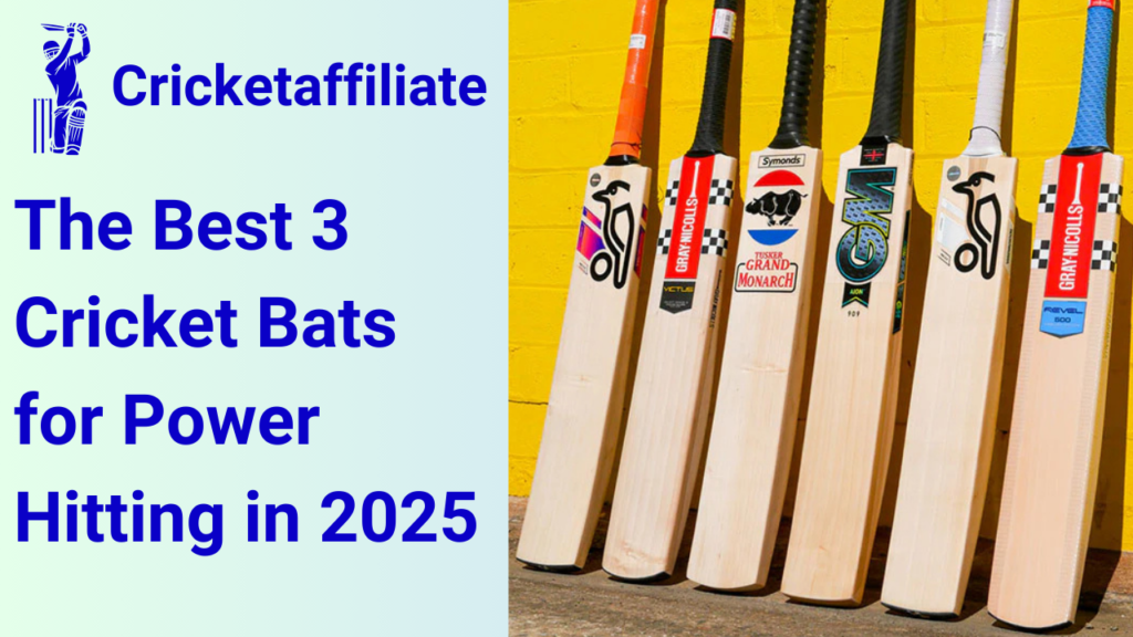 The Best 3 Cricket Bats for Power Hitting in 2025