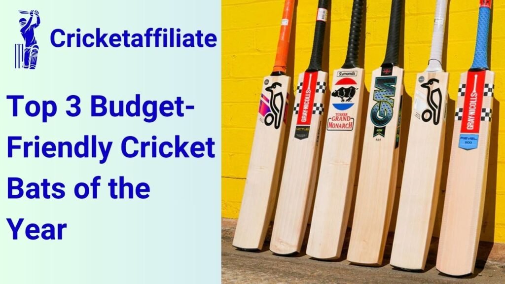 Top 3 Budget-Friendly Cricket Bats of the Year