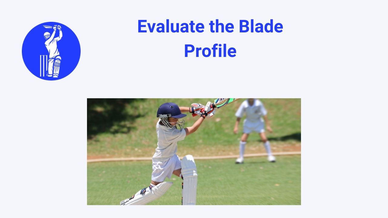 Evaluate the Blade Profile